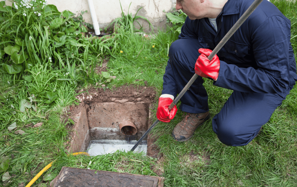 drain cleaning puyallup wa ()