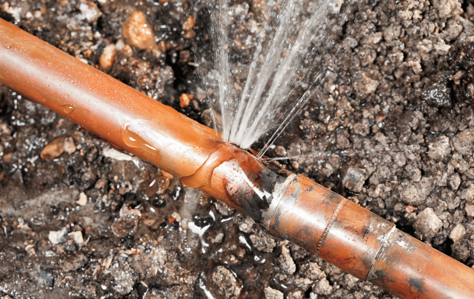 puyallup sewer leak detection ()