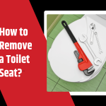 How to Remove a Toilet Seat ()