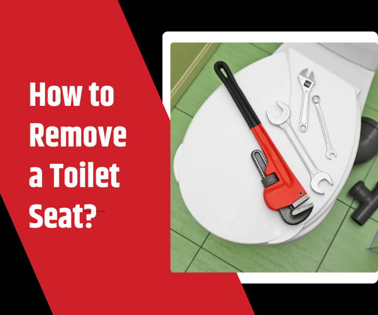 How to Remove a Toilet Seat ()