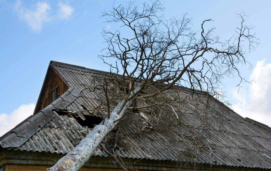 puyallup insurance home damage restoration ()