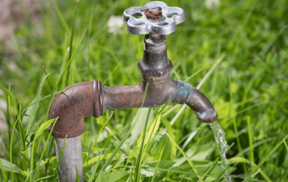 puyallup outdoor faucet ()