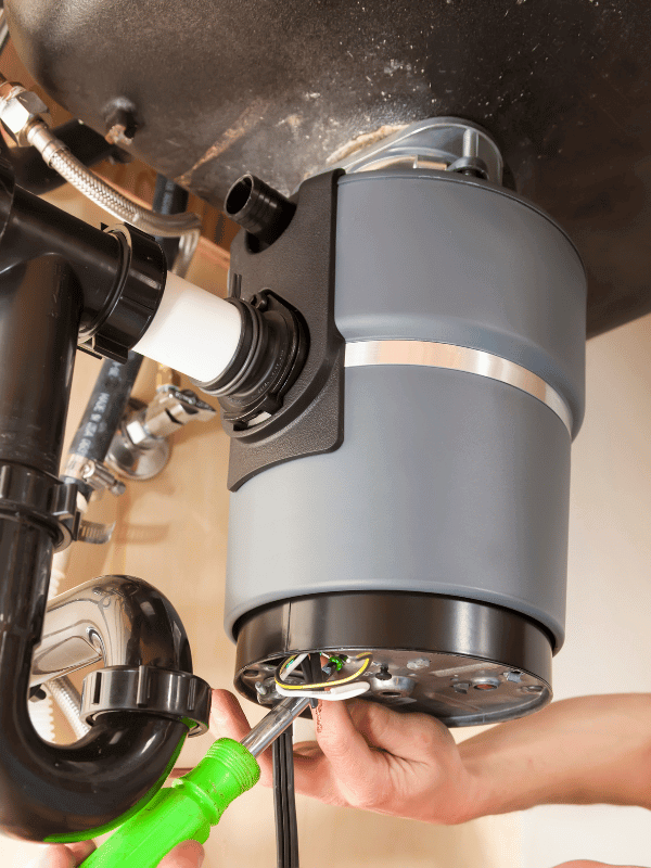 Garbage Disposal Cleaning Bellevue WA