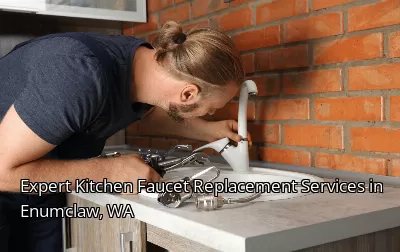Expert Kitchen Faucet Replacement Services in Enumclaw, WA Expert Kitchen Faucet Replacement Services in Enumclaw, WA