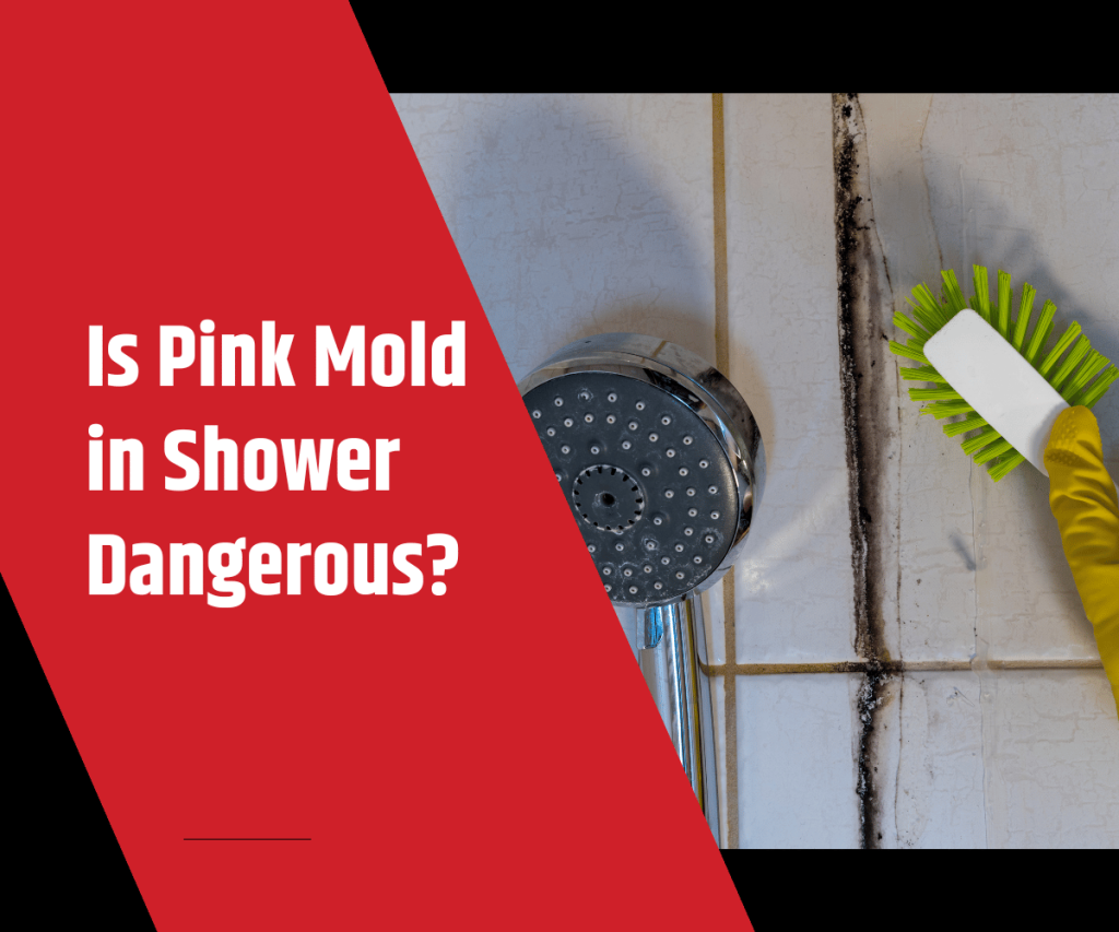 Is Pink Mold in Shower Dangerous
