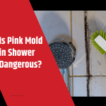 Is Pink Mold in Shower Dangerous