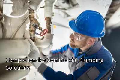 Comprehensive Commercial Plumbing Solutions Comprehensive Commercial Plumbing Solutions