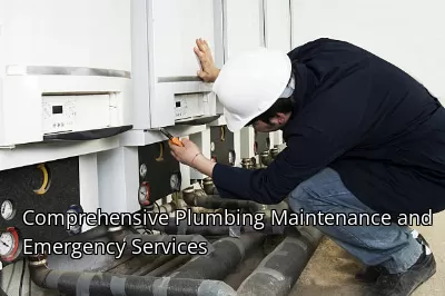 Comprehensive Plumbing Maintenance and Emergency Services Comprehensive Plumbing Maintenance and Emergency Services
