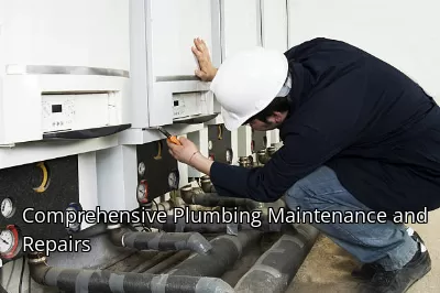 Comprehensive Plumbing Maintenance and Repairs Comprehensive Plumbing Maintenance and Repairs