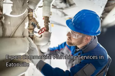 Expert Commercial Plumbing Services in Eatonville Expert Commercial Plumbing Services in Eatonville