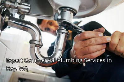 Expert Commercial Plumbing Services in Roy, WA Expert Commercial Plumbing Services in Roy, WA
