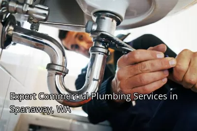 Expert Commercial Plumbing Services in Spanaway, WA Expert Commercial Plumbing Services in Spanaway, WA