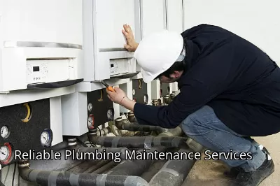 Reliable Plumbing Maintenance Services Reliable Plumbing Maintenance Services