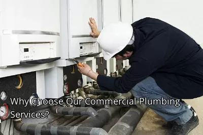 Why Choose Our Commercial Plumbing Services? Why Choose Our Commercial Plumbing Services?