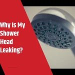 Why is my shower head leaking