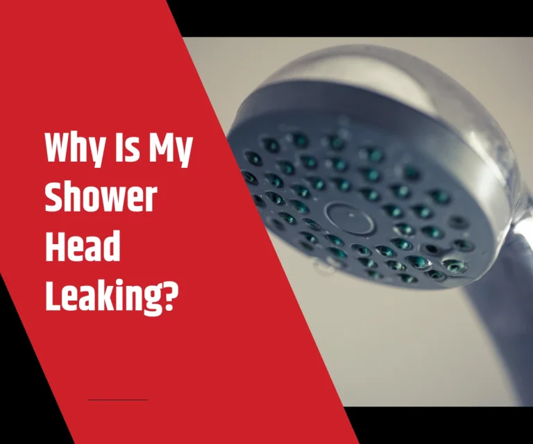 Why is my shower head leaking