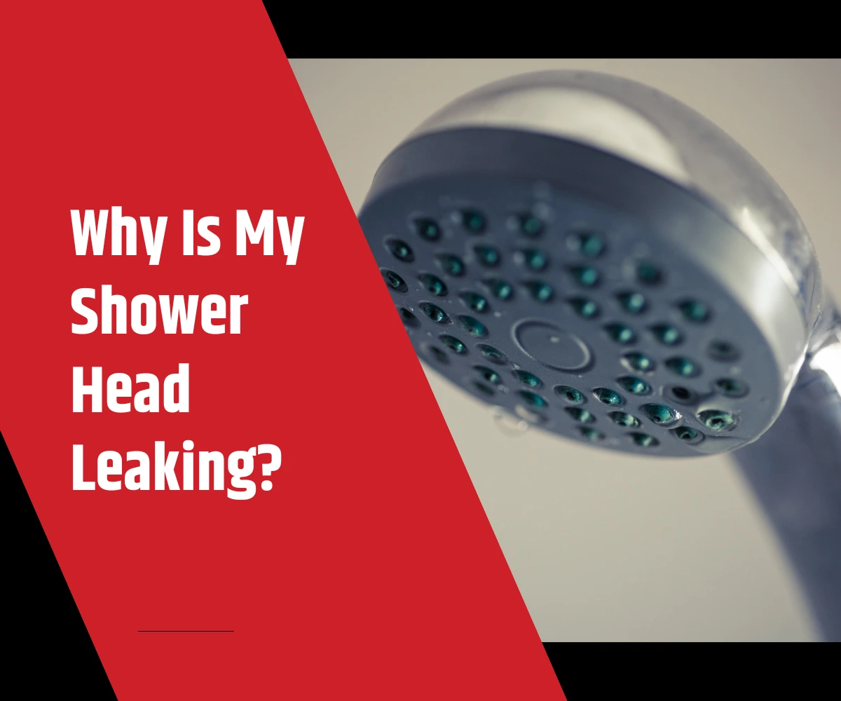 Why is my shower head leaking