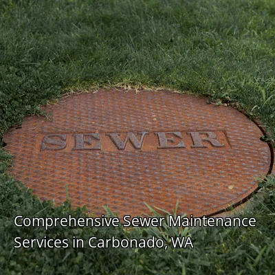 Comprehensive Sewer Maintenance Services in Carbonado, WA