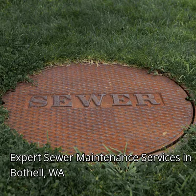 Expert Sewer Maintenance Services in Bothell, WA