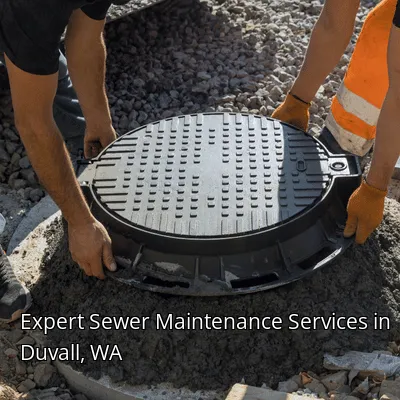 Expert Sewer Maintenance Services in Duvall, WA