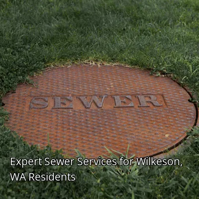 Expert Sewer Services for Wilkeson, WA Residents