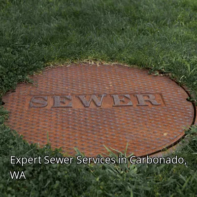 Expert Sewer Services in Carbonado, WA