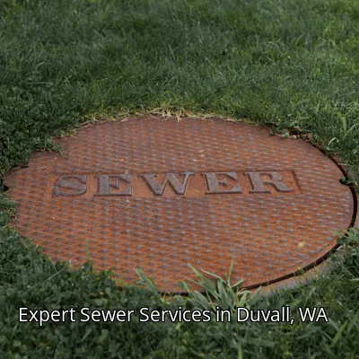 Expert Sewer Services in Duvall, WA