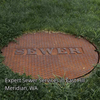 Expert Sewer Services in East Hill Meridian, WA