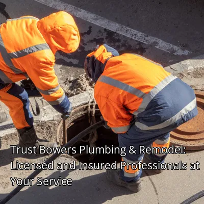 Trust Bowers Plumbing & Remodel: Licensed and Insured Professionals at Your Service