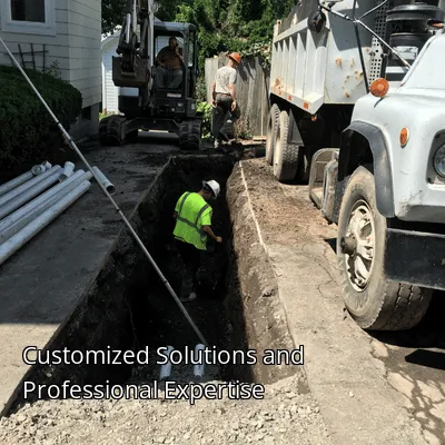 Customized Solutions and Professional Expertise