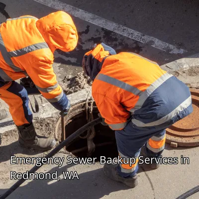 Emergency Sewer Backup Services in Redmond, WA