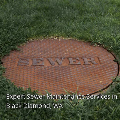 Expert Sewer Maintenance Services in Black Diamond, WA