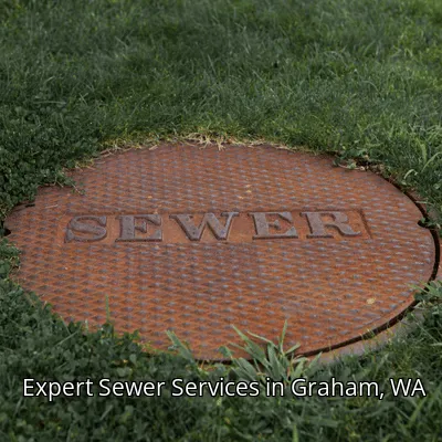 Expert Sewer Services in Graham, WA Expert Sewer Services in Graham, WA