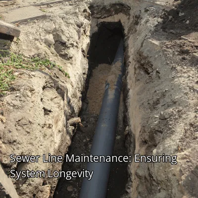 Sewer Line Maintenance: Ensuring System Longevity