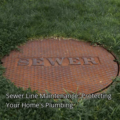 Sewer Line Maintenance: Protecting Your Home's Plumbing