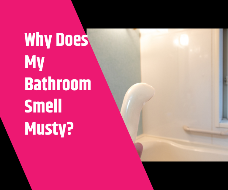 Why Does My Bathroom Smell Musty Why Does My Bathroom Smell Musty
